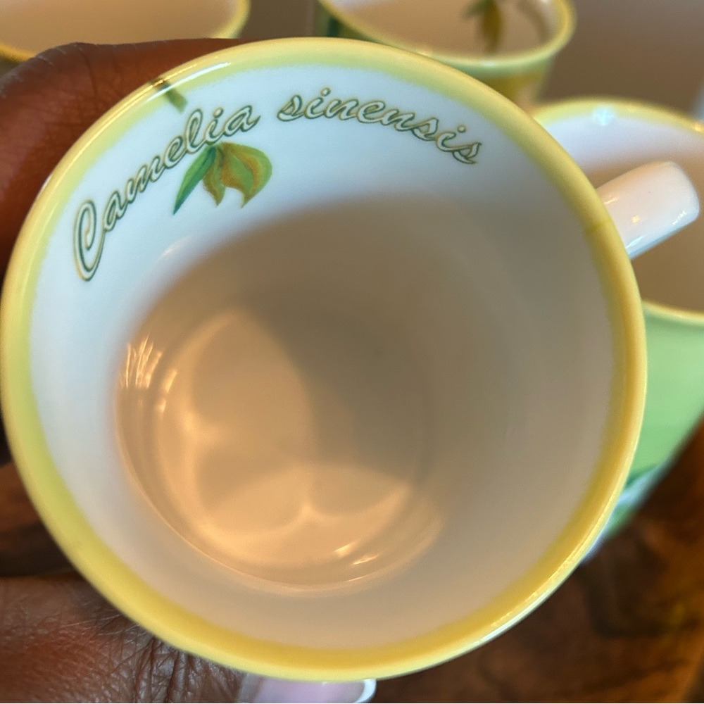 4 Green Camelia Senensis mugs set - Picture 3 of 4